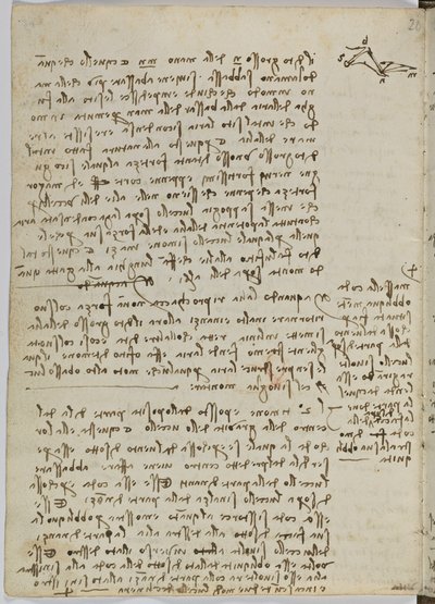 Code sur le vol des oiseaux, c. 1505-06, manuscrit sur papier, cc. 18, feuille 13 verso - Leonardo da Vinci